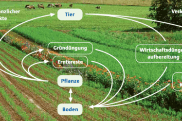 ökologische gartenprodukte