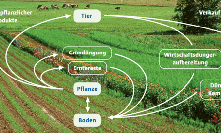 ökologische gartenprodukte