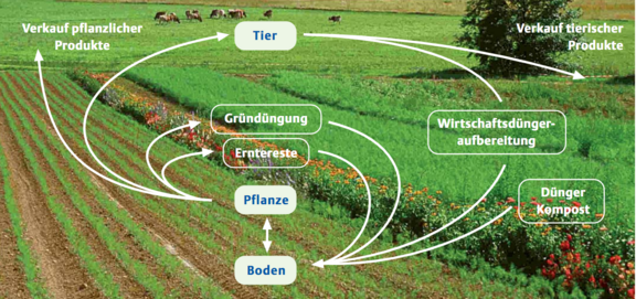 ökologische gartenprodukte